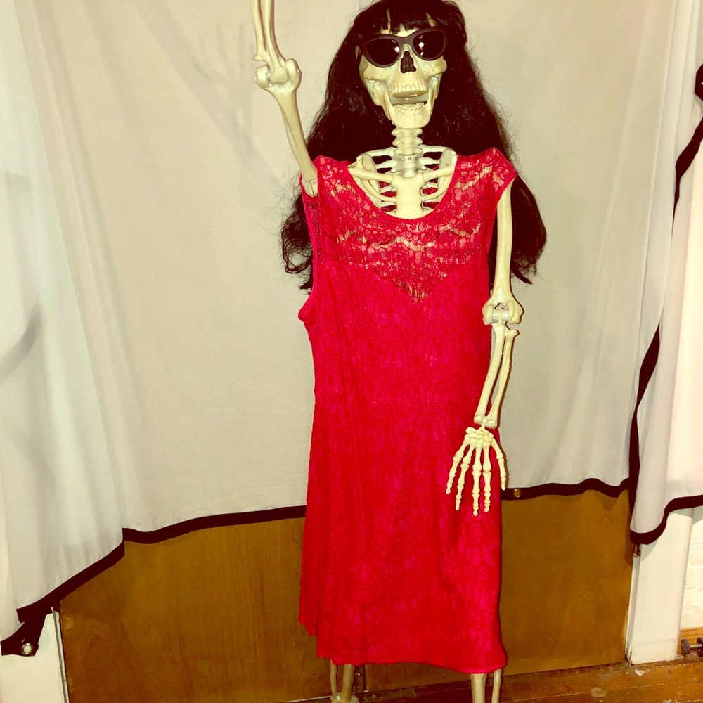 Coral Lace Cocktail Dress